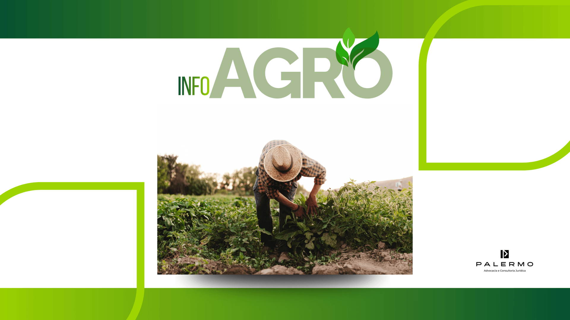 A pedido da Palermo Advocacia Produtor rural obtém na Justiça suspensão de cobrança de custeio de R$ 2,07 milhões: